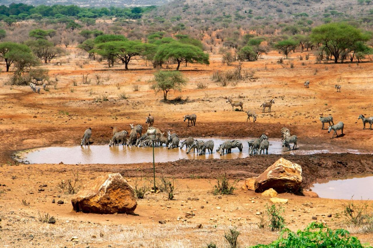 Kilaguni Serena Safari Lodge Tsavo Zewnętrze zdjęcie