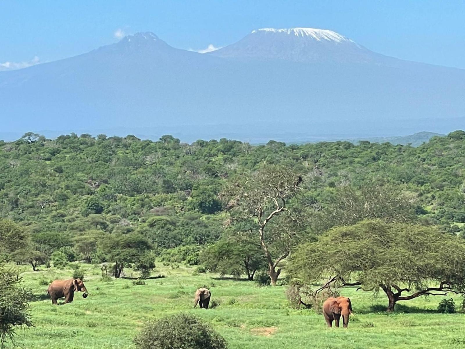 Kilaguni Serena Safari Lodge Tsavo Zewnętrze zdjęcie