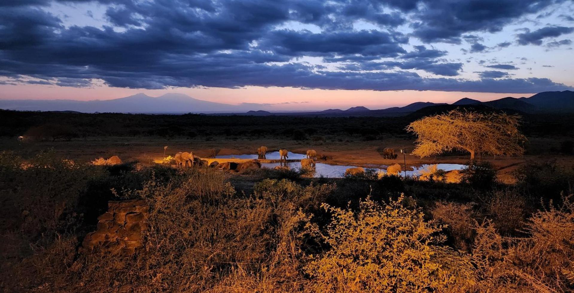 Kilaguni Serena Safari Lodge Tsavo Zewnętrze zdjęcie