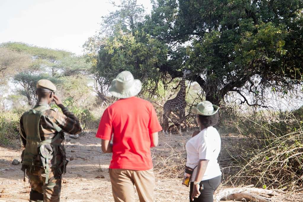 Kilaguni Serena Safari Lodge Tsavo Udogodnienia zdjęcie