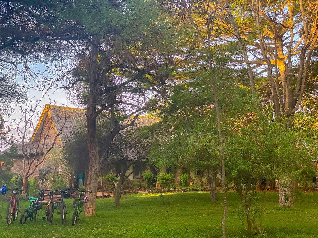 Kilaguni Serena Safari Lodge Tsavo Udogodnienia zdjęcie